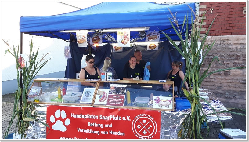 Diashowbild